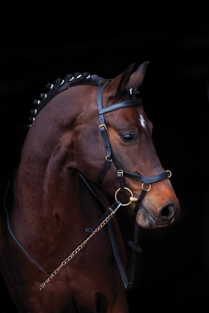 Horseware - Bridon Horseware Micklem 2 Multi Bridle Marron - Myver Sellerie Horseware - Bridon Horseware Micklem 2 Multi Bridle Marron - Myver Sellerie