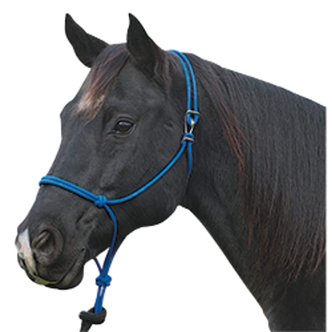 Silvertip Rope Halter with Clip- Horse Halters