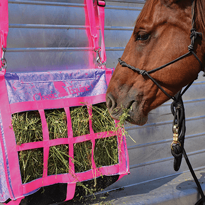 Classic Equine Top Load Hay Bag- Violet main image 1