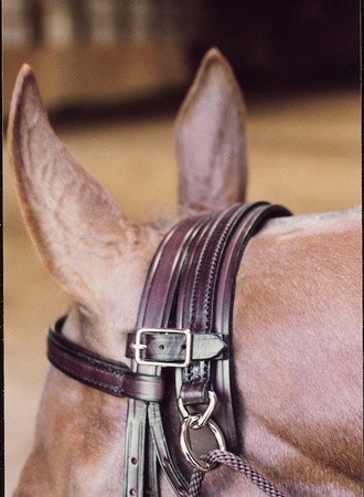 Tory Leather Chambon Horse Training Reins