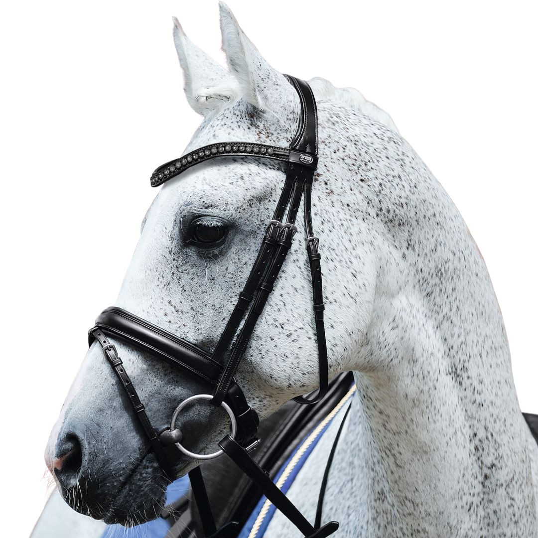 Passier Fortuna Snaffle Bridle Dressage Bridles