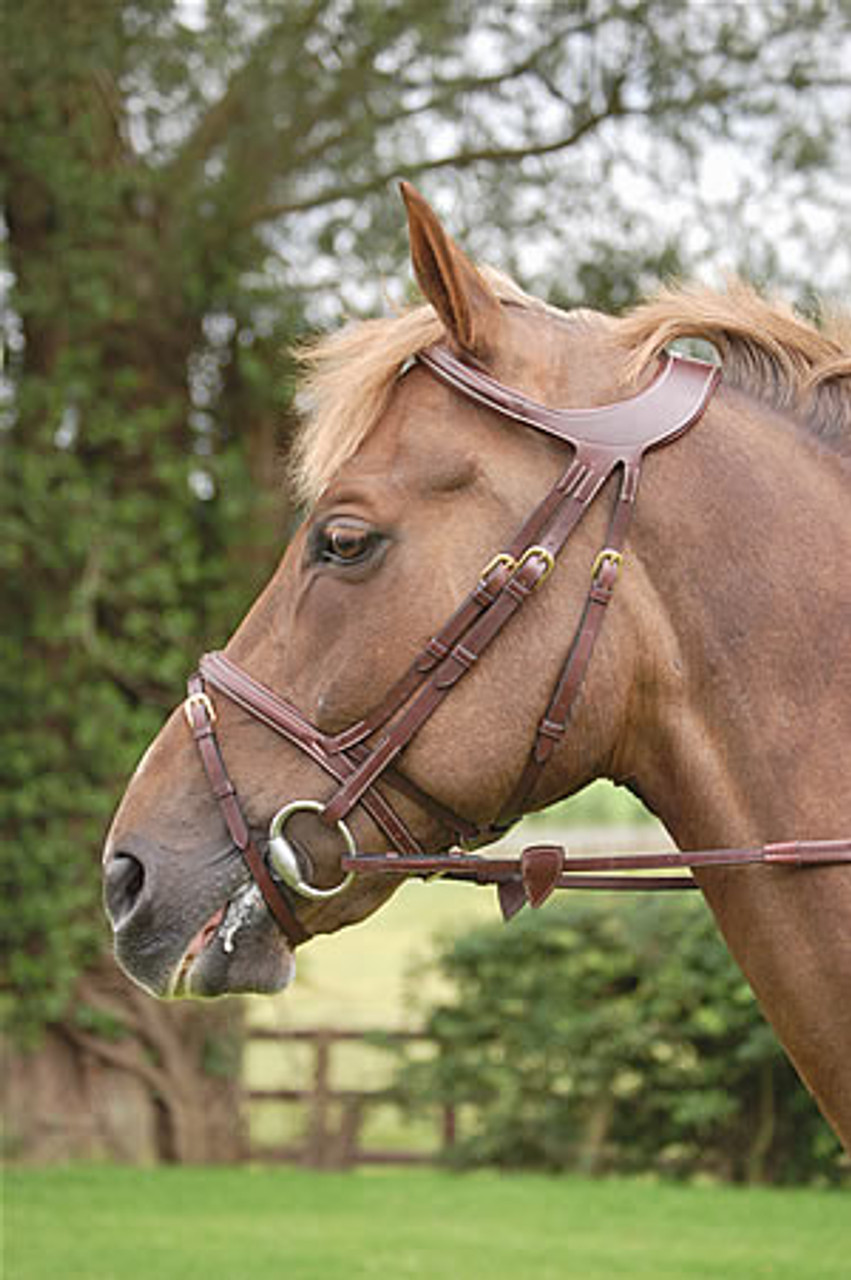 Dy'on Difference Flash Bridle