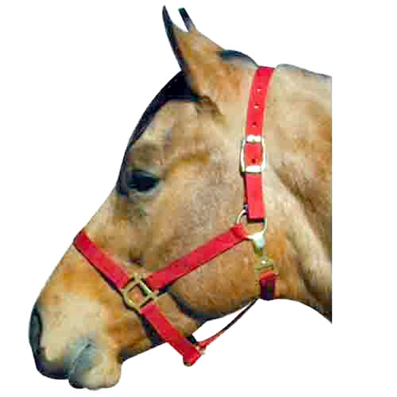 nylon horse tack