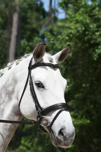KL Select Italia Pirouette Snaffle Bridle - Thumbnail 4