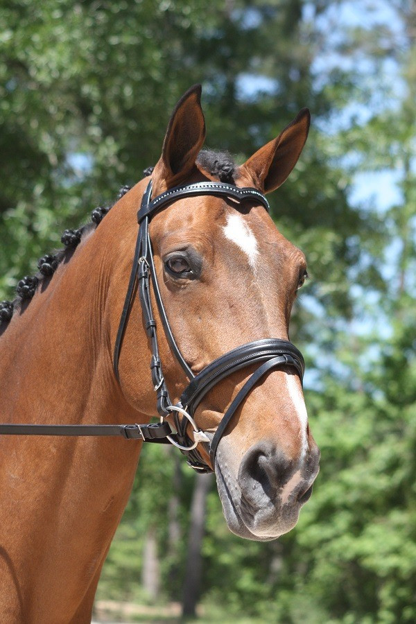 KL Select Italia Pirouette Snaffle Bridle - Thumbnail 2