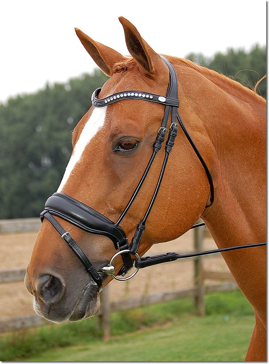Exion Dressage Bridle With Anti-Pressure Crownpiece | Anatomical Padded Crank 13 thumbnail image