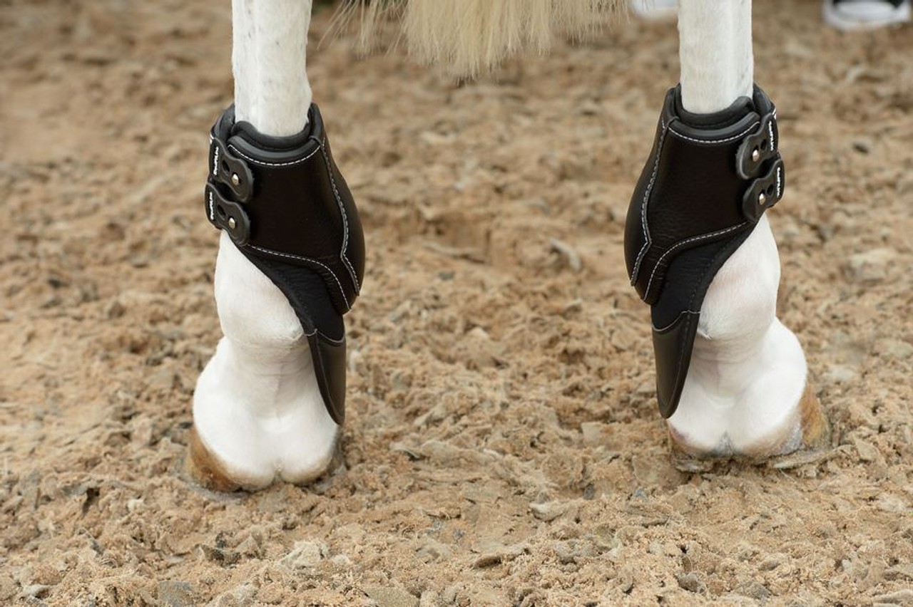 hind boots horse