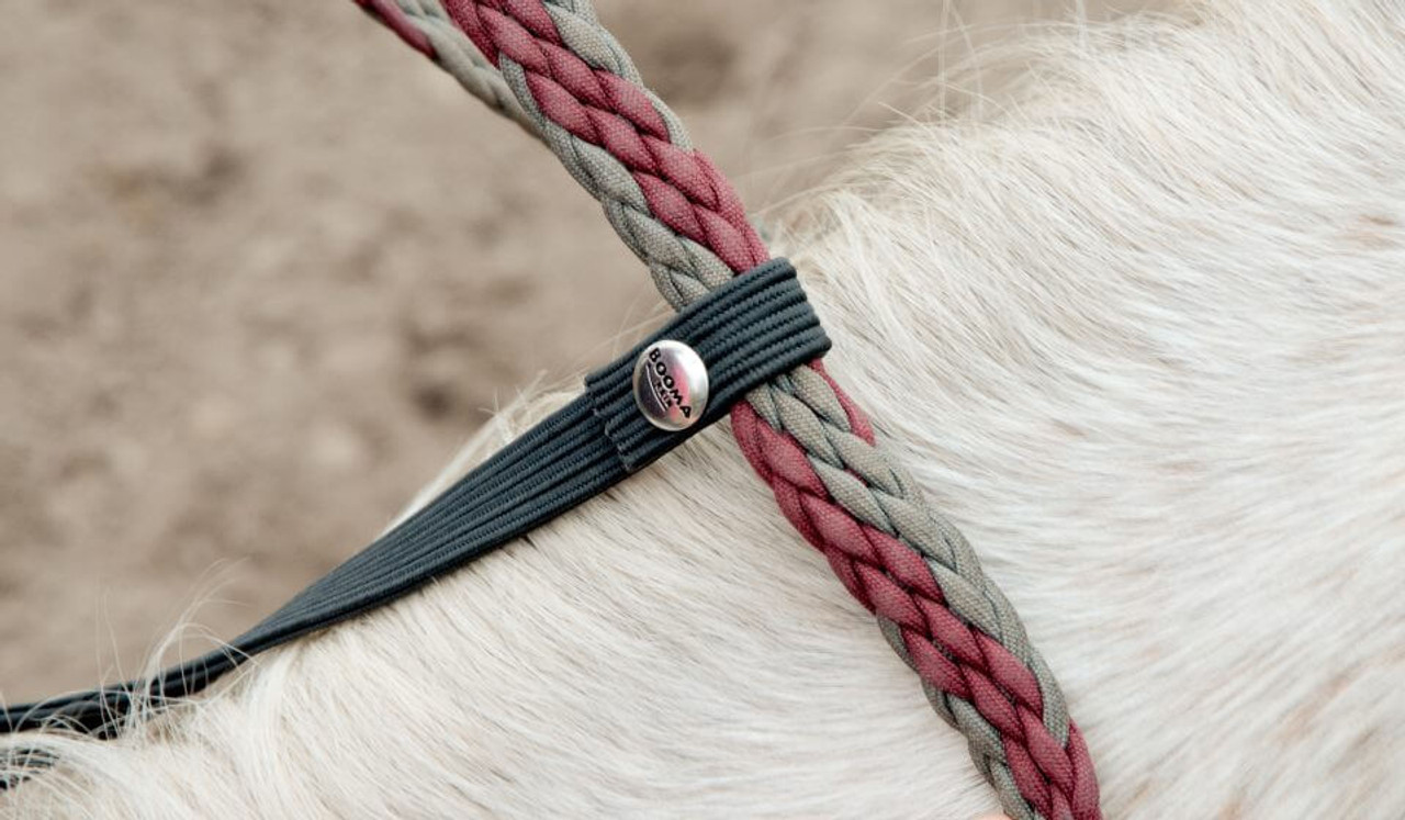 BOOMA Rein Safety Rein- Western Tack