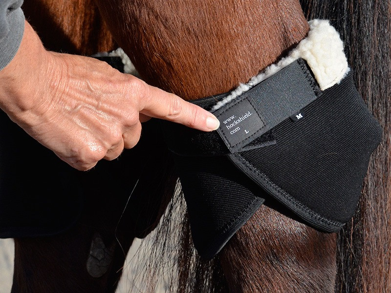 Click Hock Shield Ultra- Horse Hock Sore Boots
