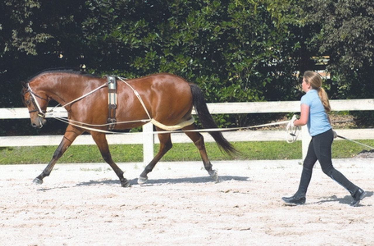 Camelot Training Surcingle Horse Tack Camelot Training Surcingle Horse Tack