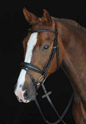 Collegiate Monocrown Bridle - Thumbnail 2
