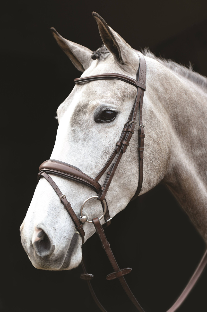 Collegiate Monocrown Bridle