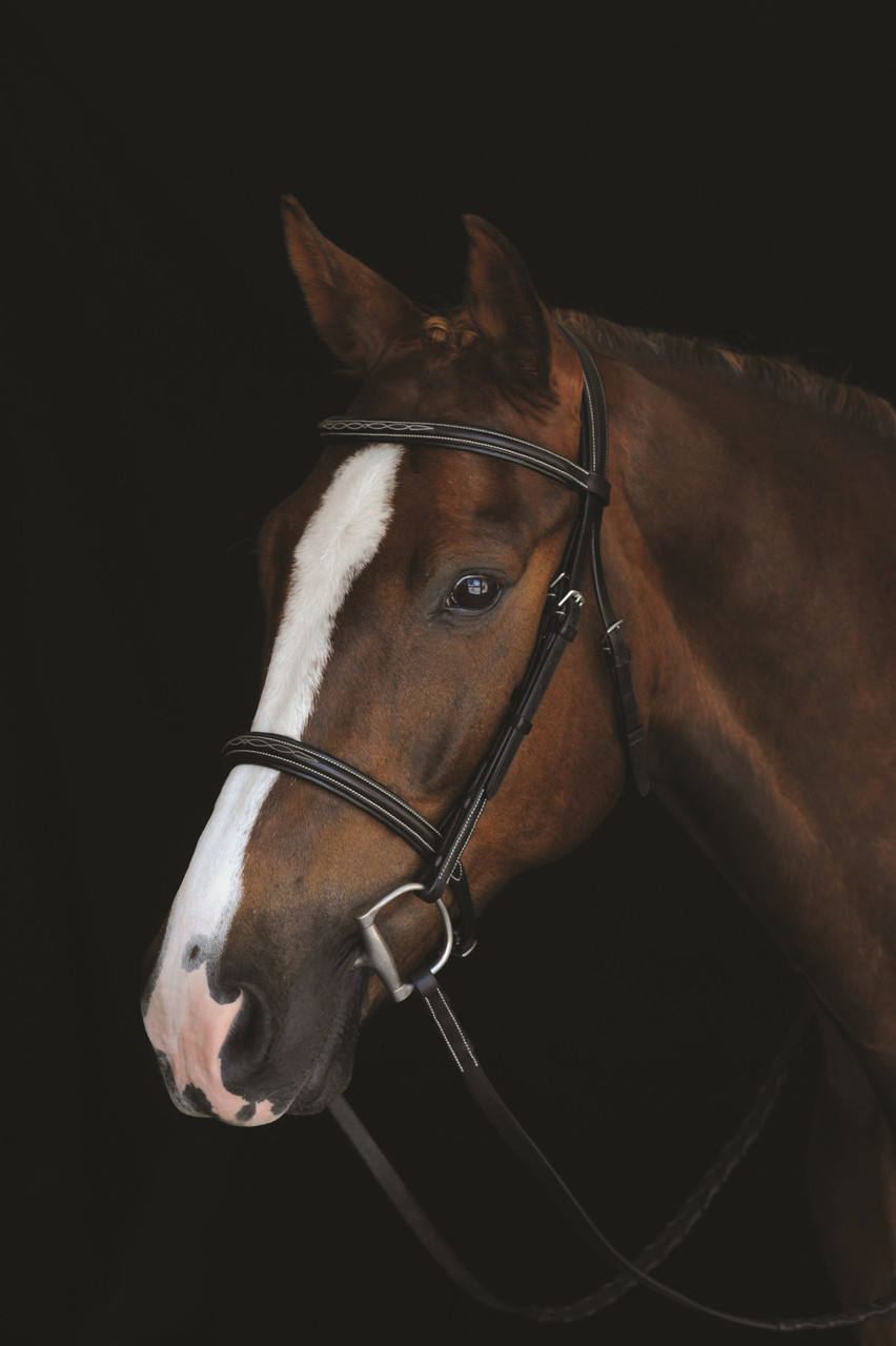 Collegiate Comfort Crown Raised Fancy Stitched Bridle - Thumbnail 4