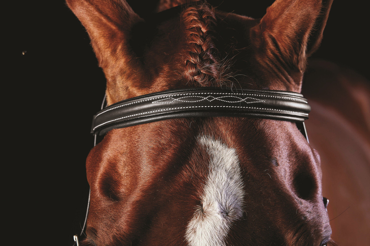 Collegiate Comfort Crown Raised Fancy Stitched Bridle