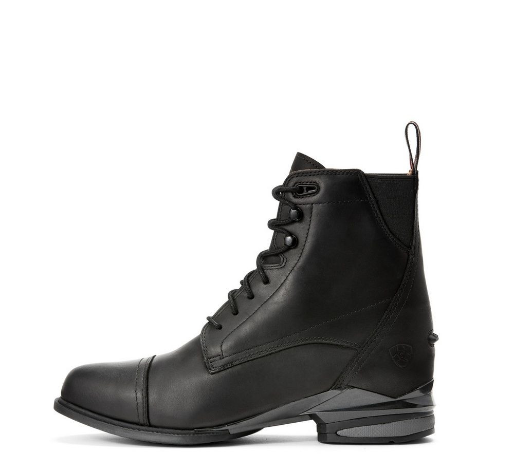 ARIAT DEVON AXIS PRO ZIP PADDOCK JODHPUR DAMES Zwart | De Kroo Ruitersport
