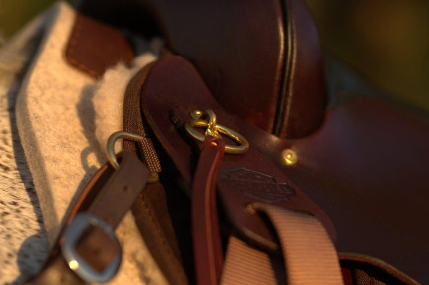 High Horse Highbank Endurance Saddle Western Saddles