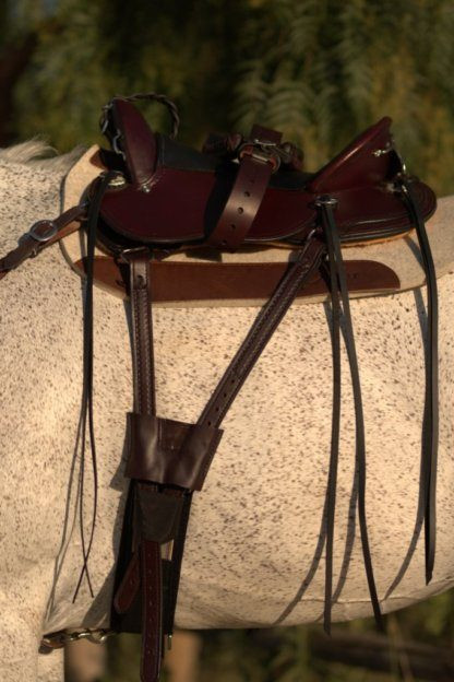 Bracelet De Flanc Julie Goodnight Pour Cheval - Circle Y (3", Régulier, Cuir)
