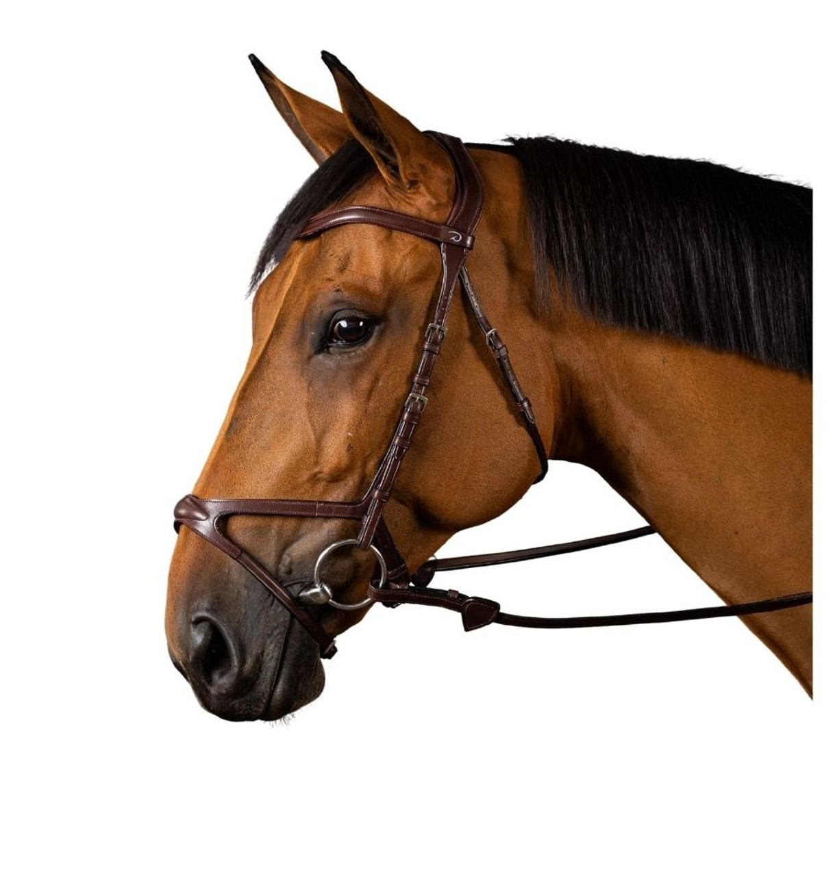 Dy'on X-Fit Bridle- English Horse Tack