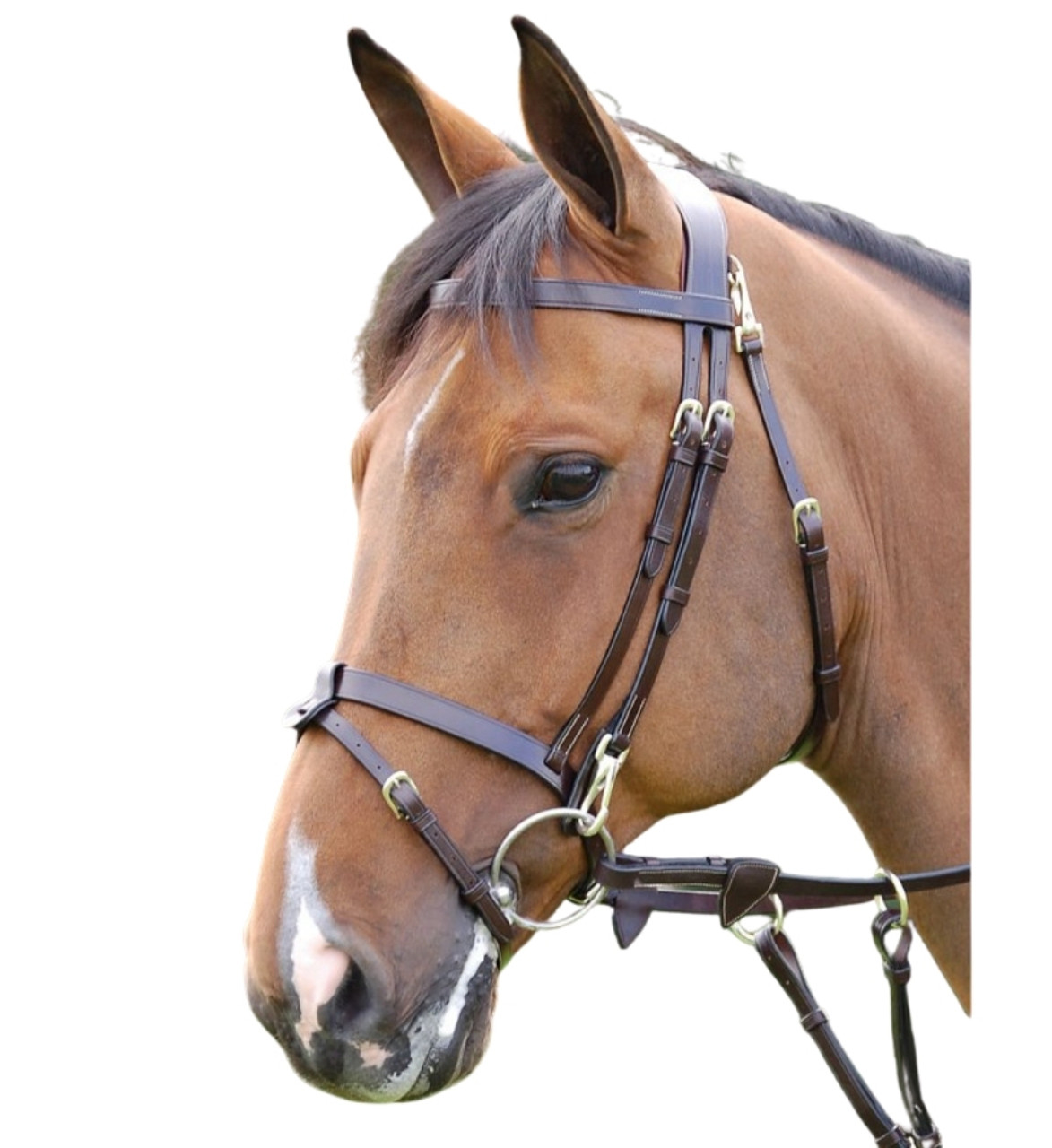 Dy'on Flat Snap Flash Bridle