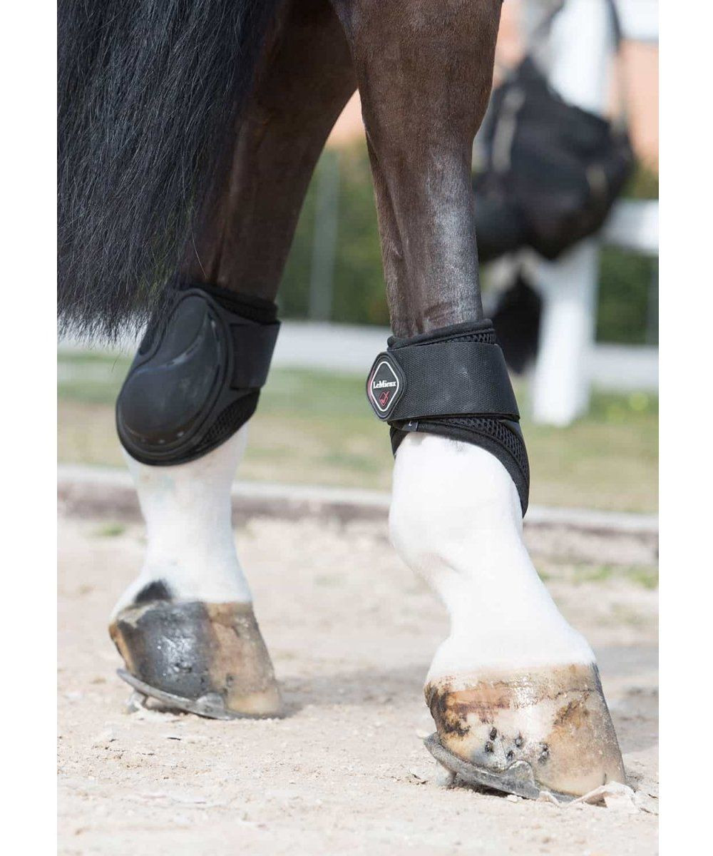 le mieux tendon and fetlock boots