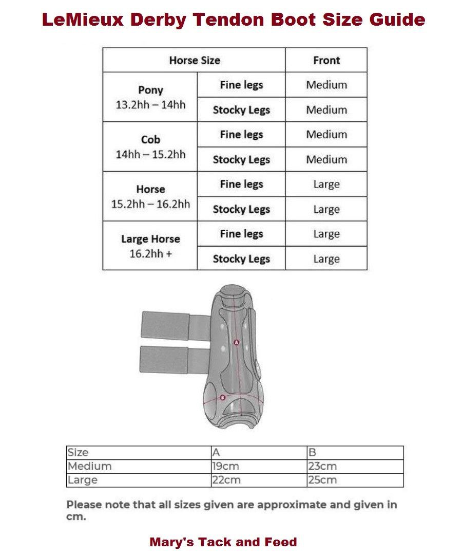 le mieux derby tendon boots