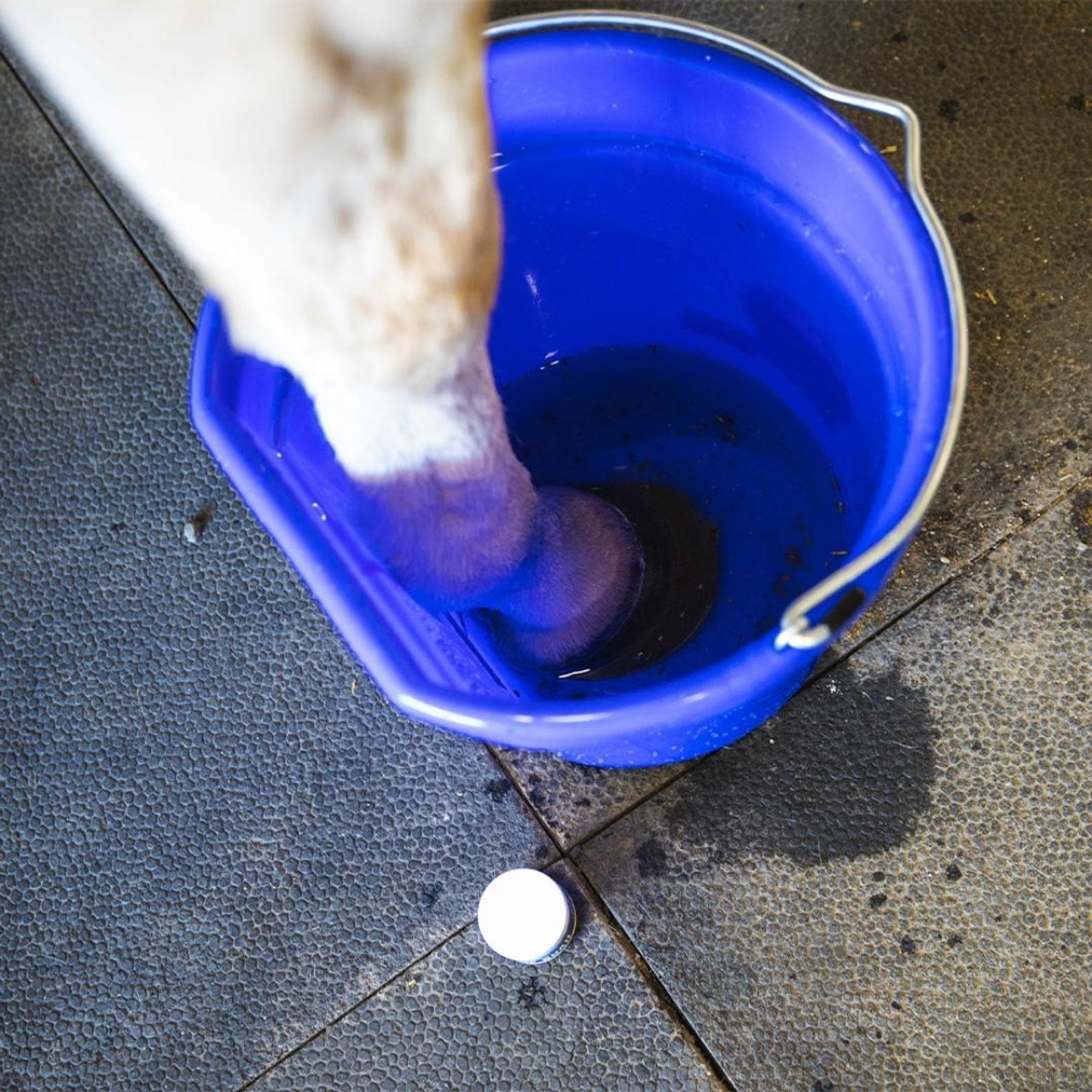 Vetericyn Mobility Hoof Soak Horse Hoof Treatments
