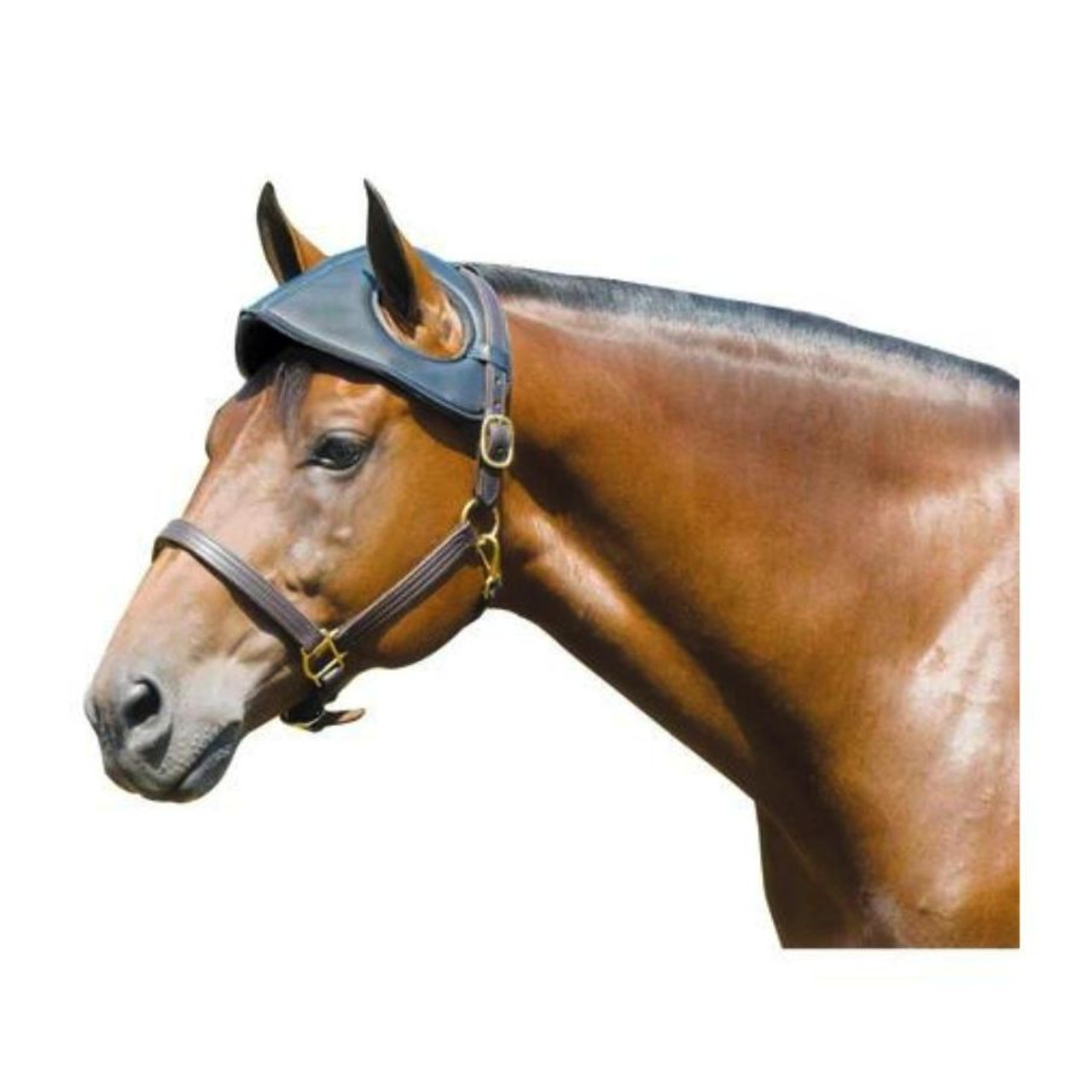 Leather Horse Head Bumper with Felt Lining- Horse Supplies