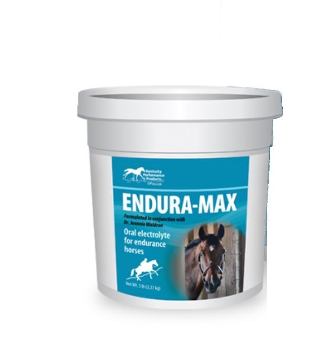 EnduraMax Electrolyte Powder Horse Supplements