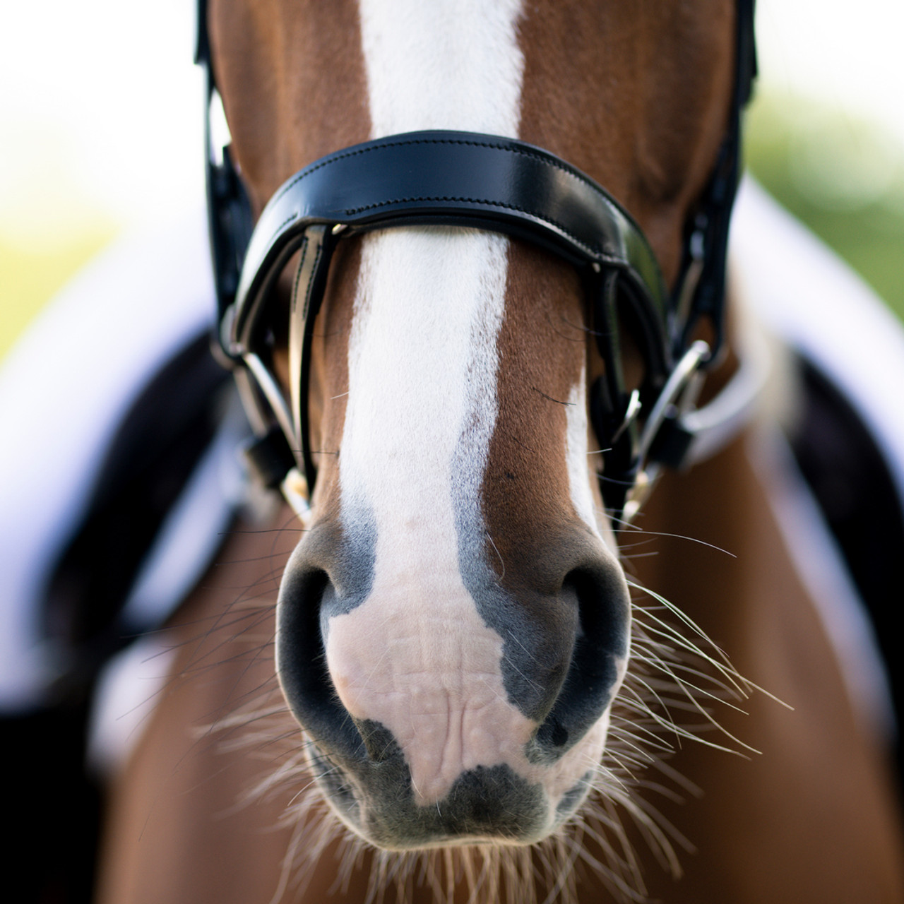 ergonomic bridle headpiece