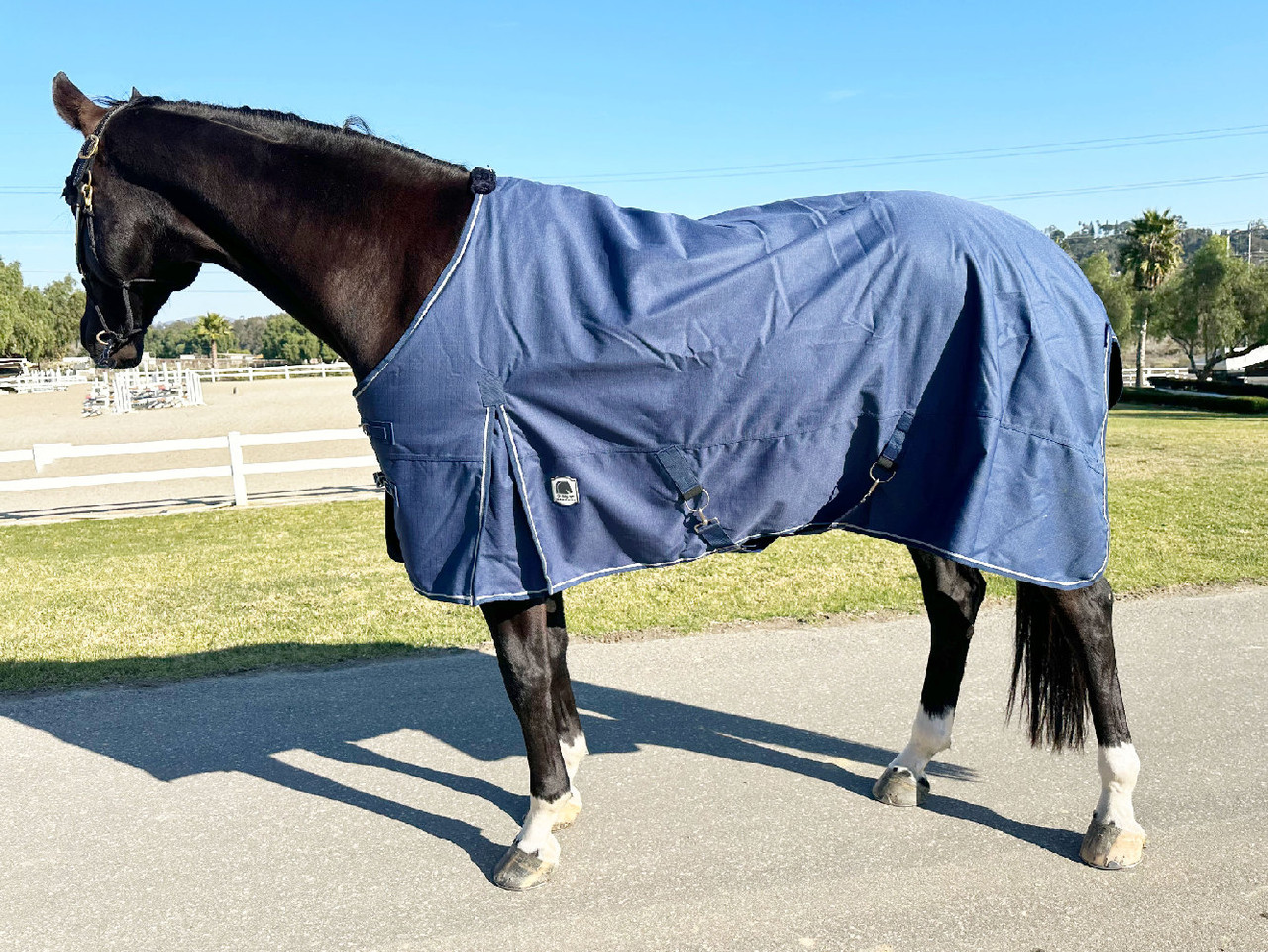 Horse Blanket Rear Leg Straps Kensington - Blanket Accessories, Blankets  Sheets, Supplies Tack