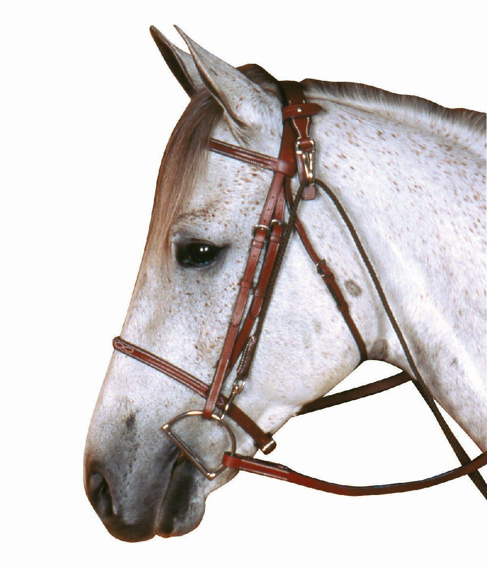 Kincade Chambon Horse Training Tack