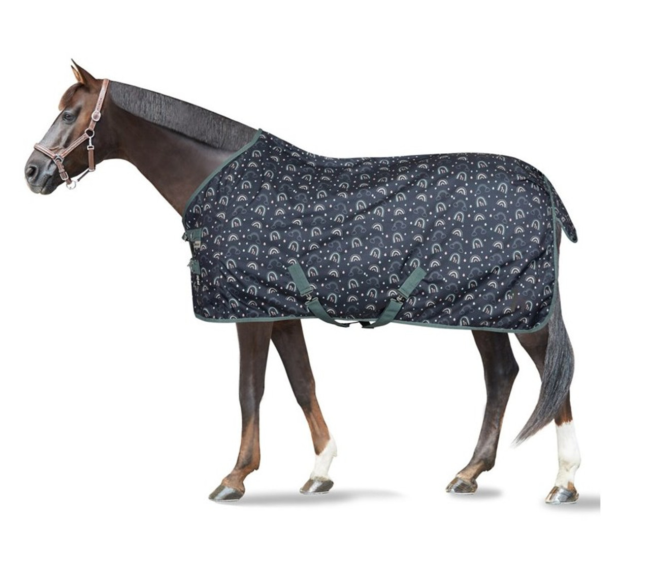 Horze Elastic Horse Blanket Leg Straps - Black - One Size : : Pet  Supplies