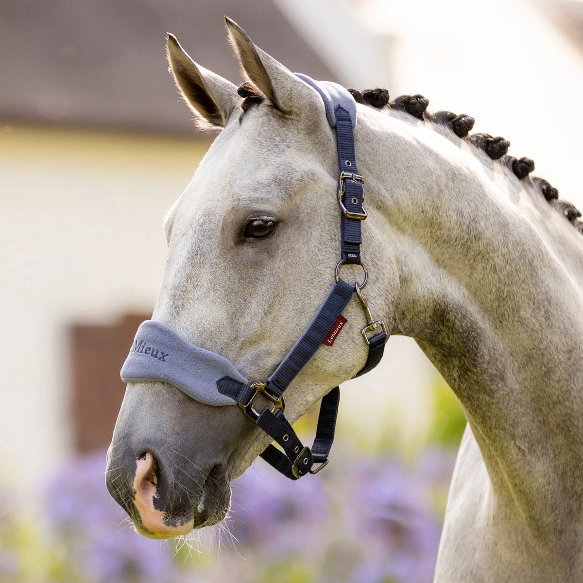 LeMieux Vogue Halter and Lead Rope- Horse Tack