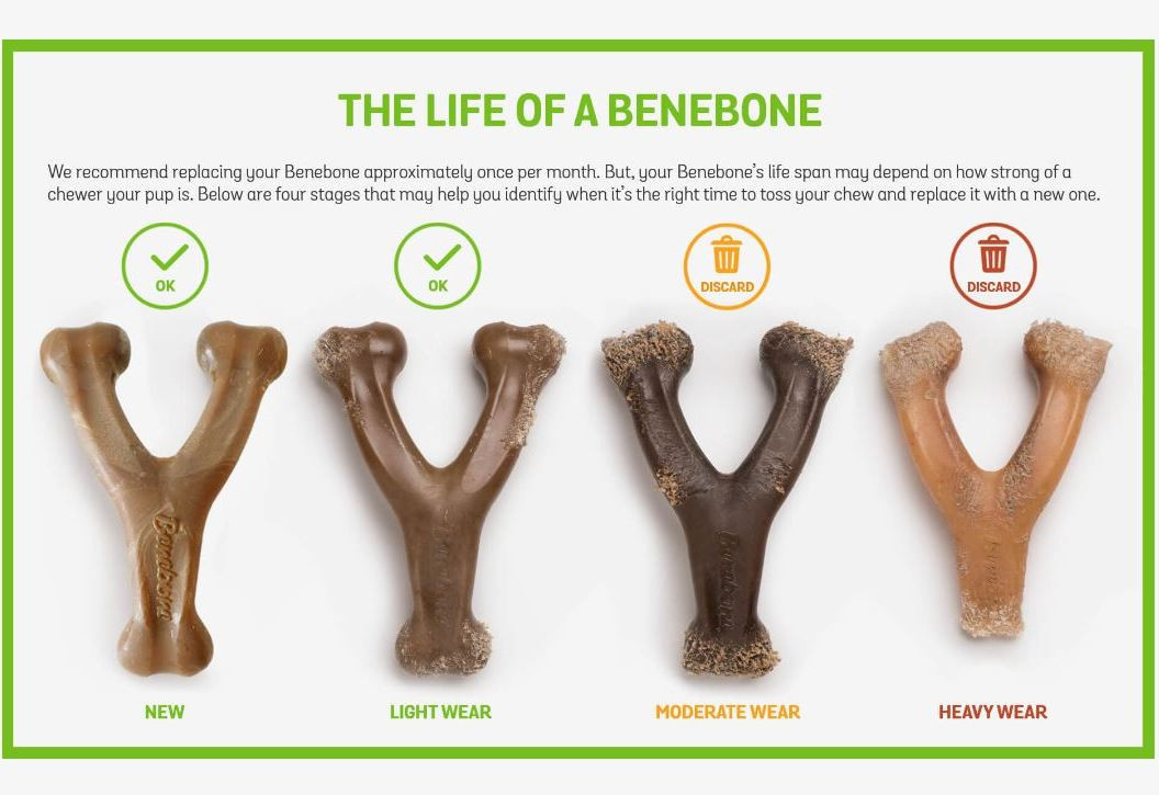 Benebone Pawplexer- Dog Chew Toys