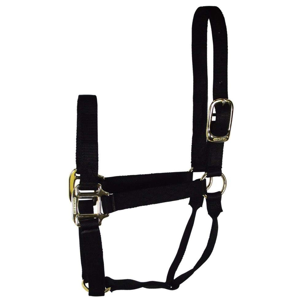 Licol Hamilton Pour Poney Sevré - Noir Réglable - Occasion