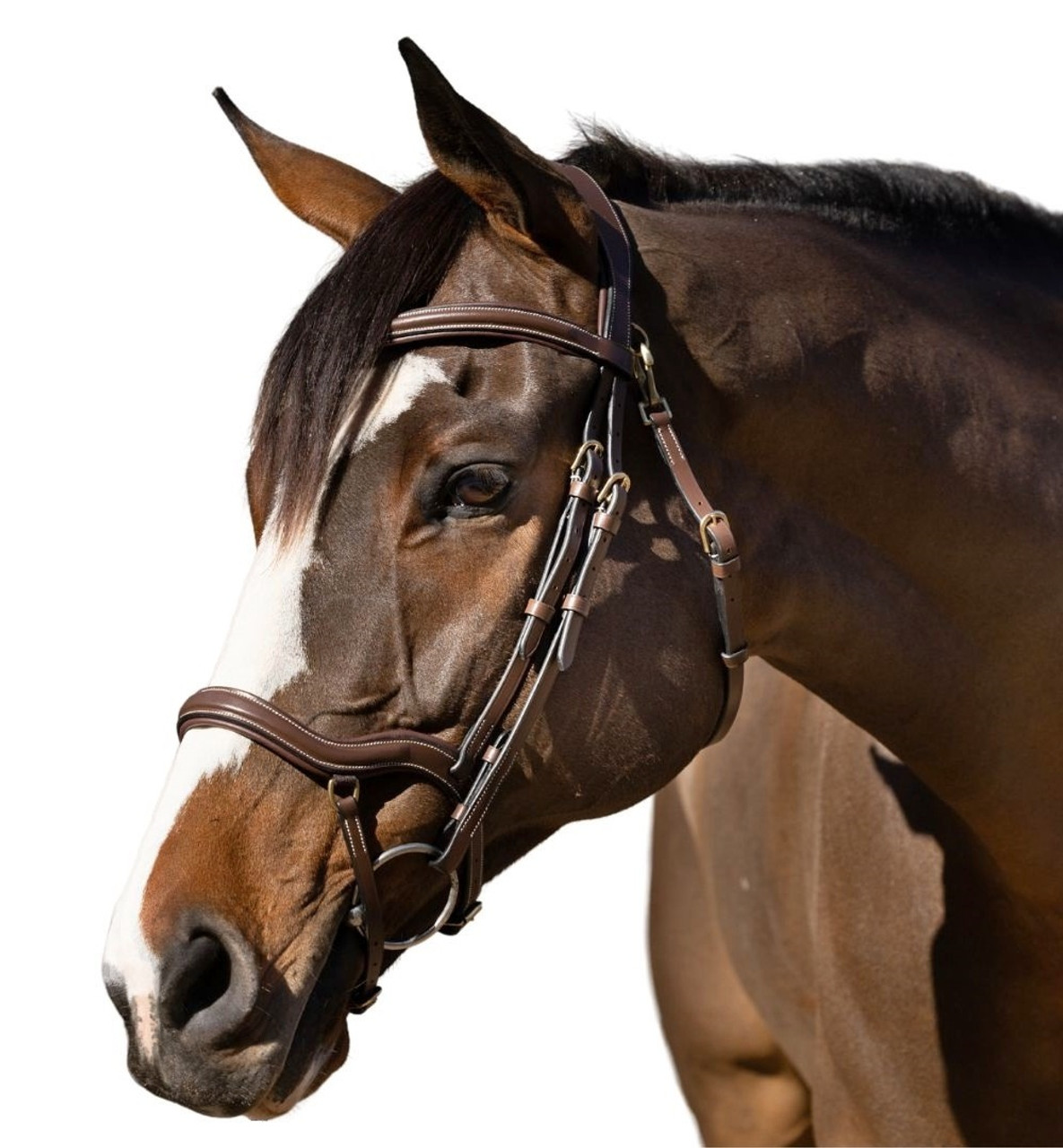 Halter Ego Deauville Anatomical Jumper Bridle- Horse Tack