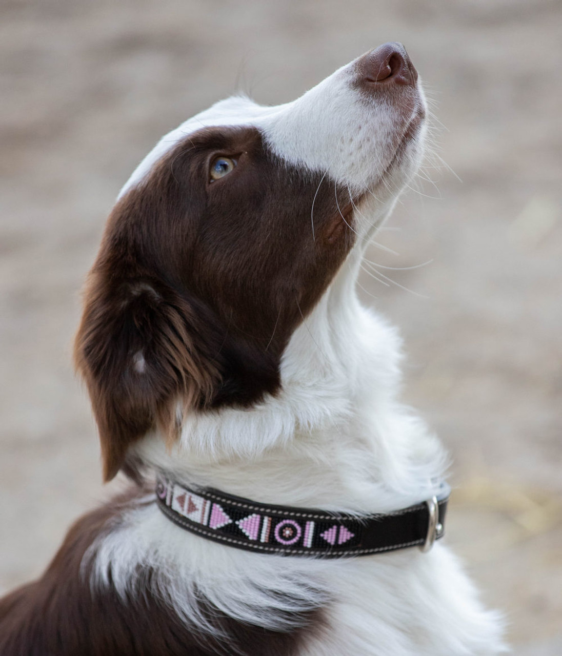 Penelope Pearl Leather Dog Collar- Luxury Dog Collars