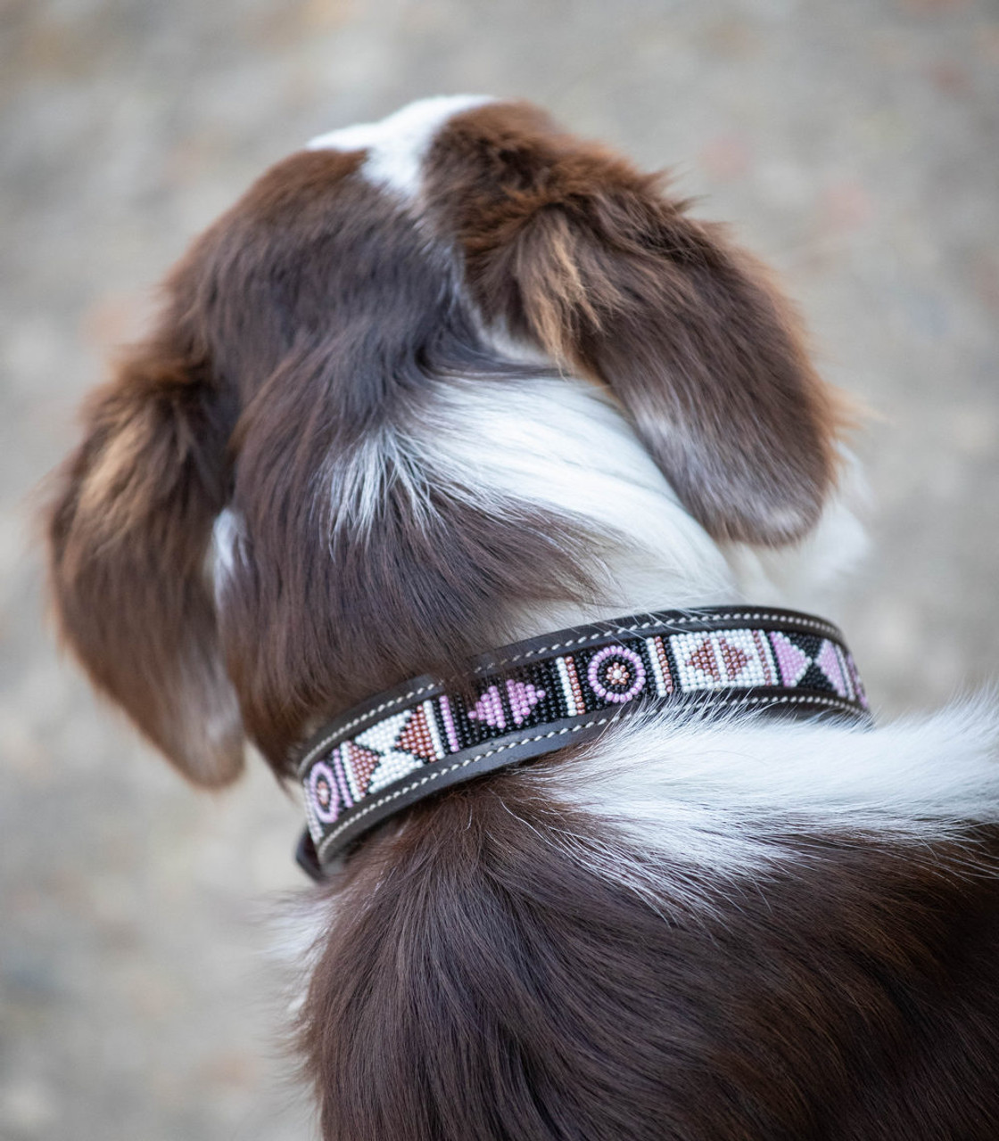 Penelope Pearl Leather Dog Collar- Luxury Dog Collars