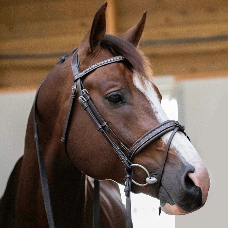 Bride de saut à snaffle cheval avec flash amovible et rênes en