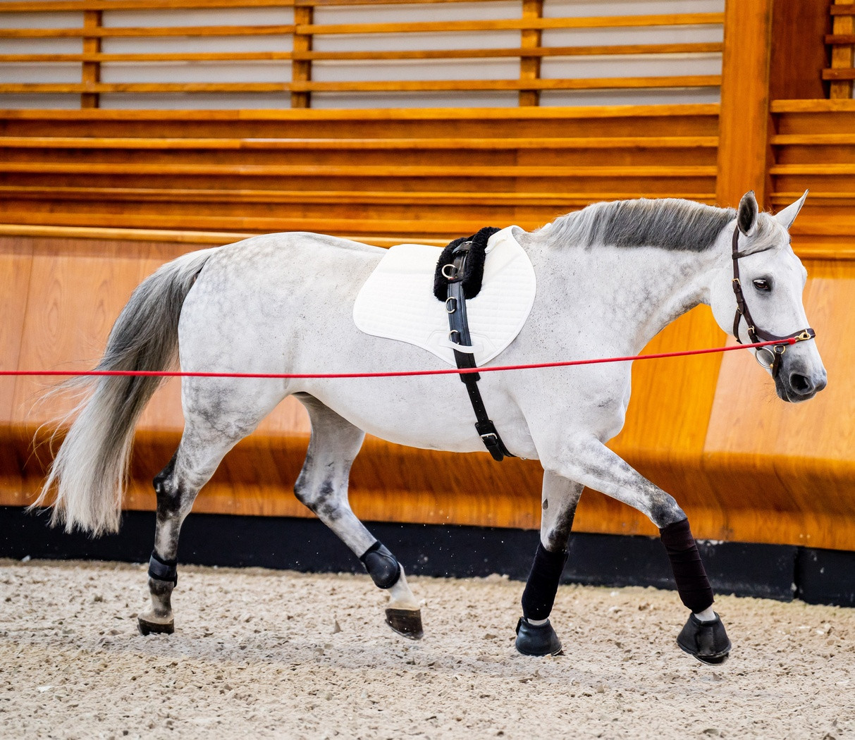 Bride Micklem Rambo Bride De Compétition Rambo Micklem En Cuir Noir Pour Poney - Taille Small, Neuve (ex Présentoir) Rmx 500
