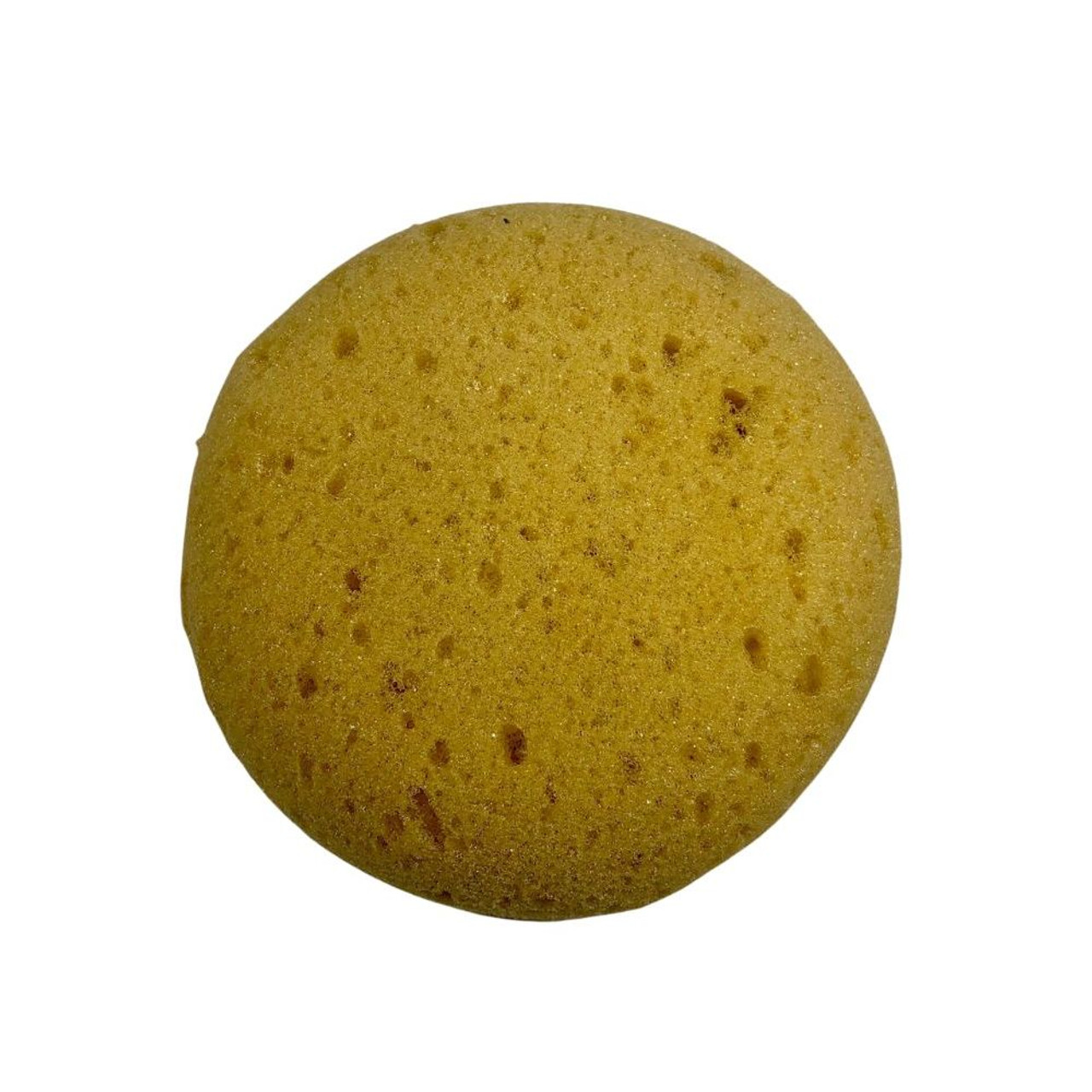 Decker Manufacturing Company Round Tack Horse Sponge