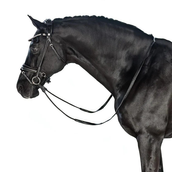 Têtière BRIDLE2FIT Crown Piece HP-1 Pour Filet Havana – Taille Medium – Note A