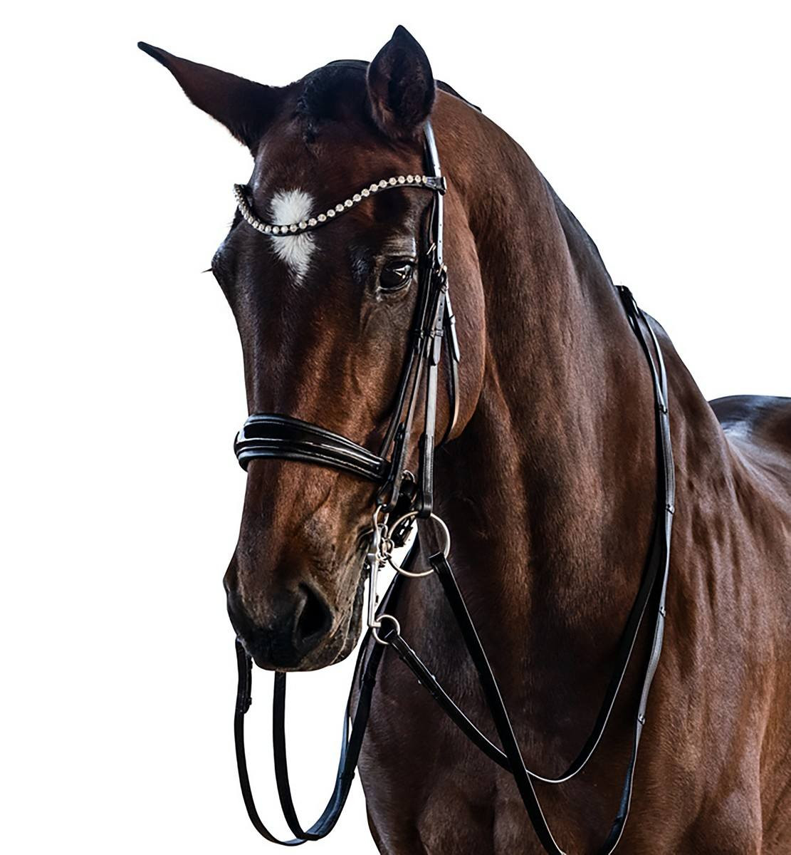 Lara Tweedie Patent Essential Double Bridle- Dressage Bridles