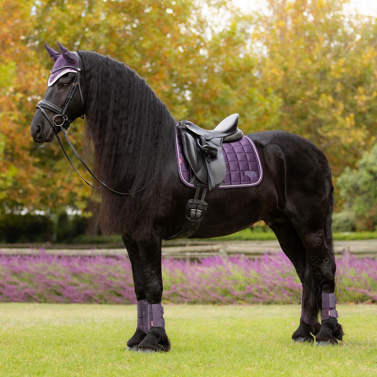 LeMieux Loire Classic Dressage Square Pad AW25