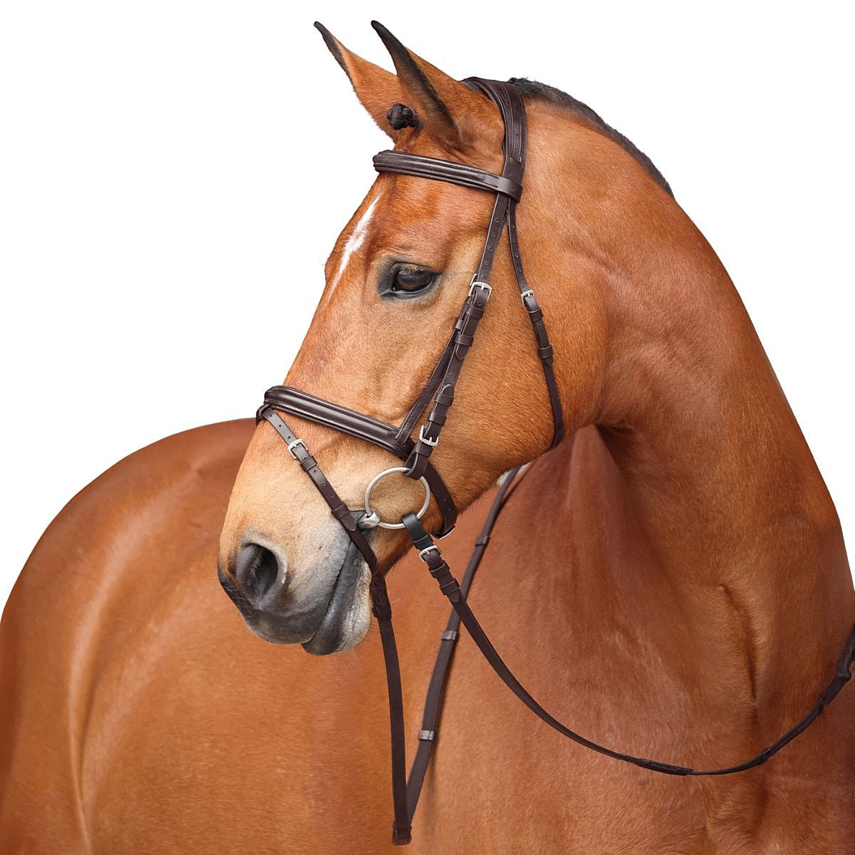 Shires Equestrian Avignon Louisville Bridle - Thumbnail 2