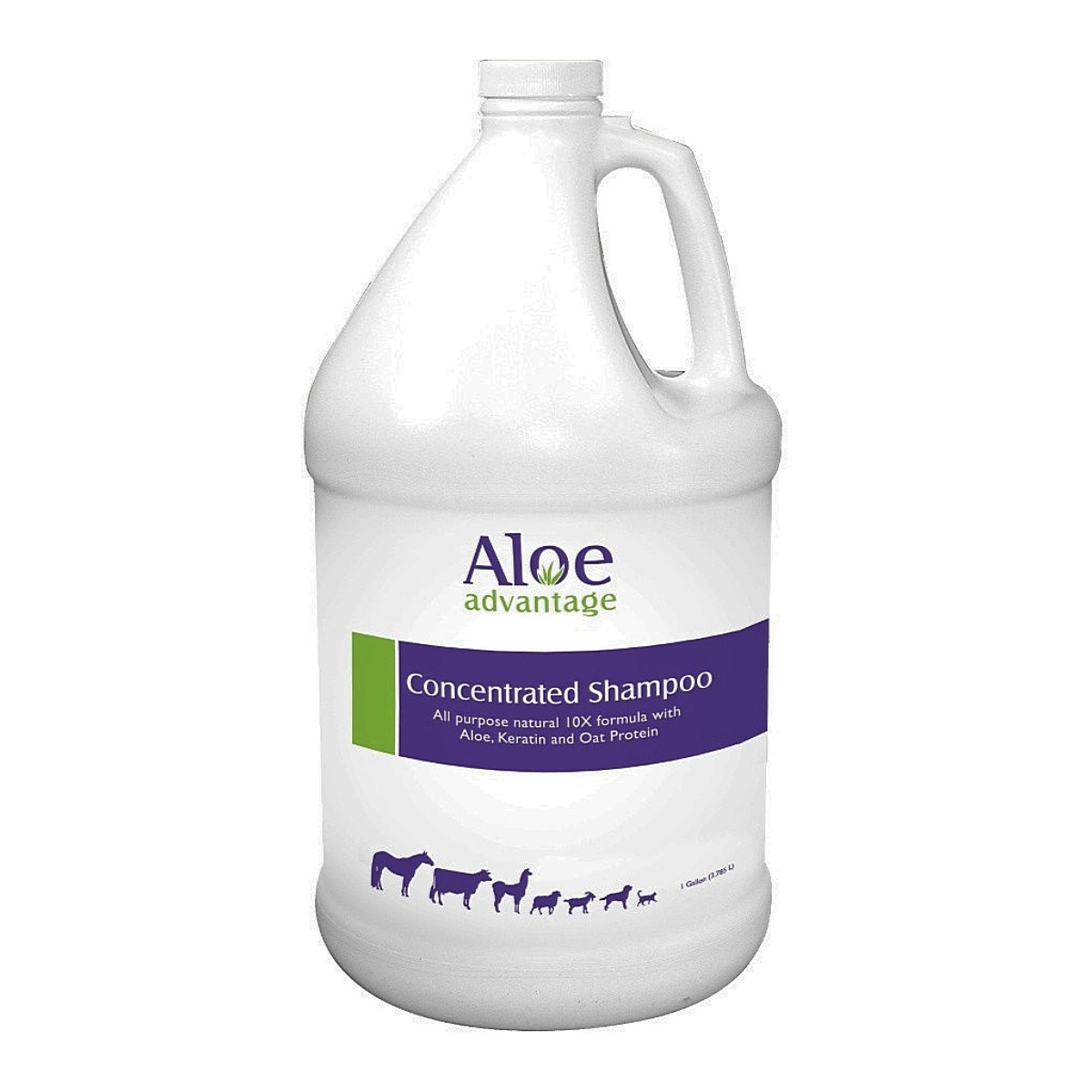 Aloe Advantage Shampoo Gallon- Horse Grooming Supplies