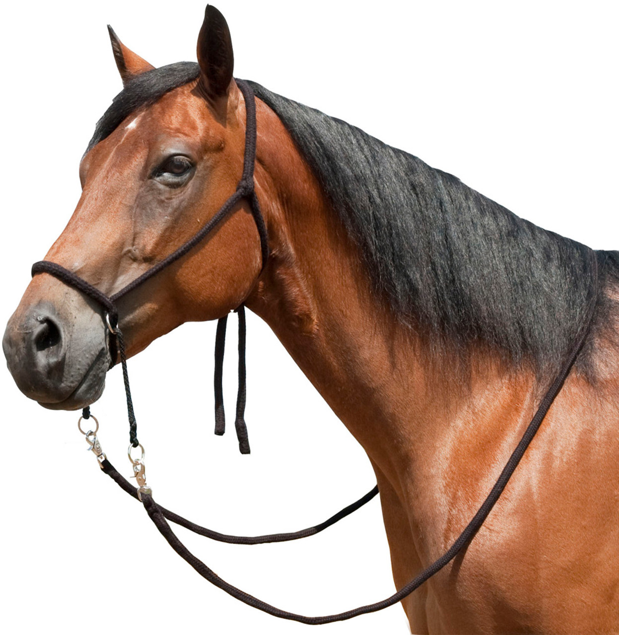 Tory Leather Bitless Poly Bridle with Reins