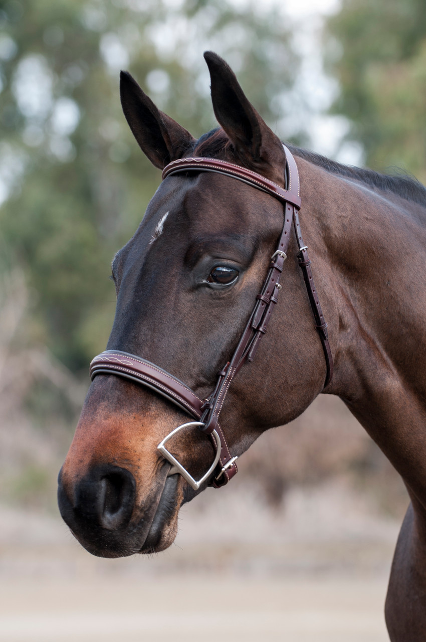 Edgewood Raised Padded FS Bridle Padded Crown English Tack