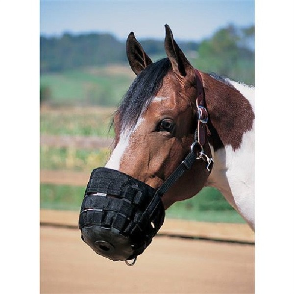 Horse Grazing Muzzle Horse Stable Supplies