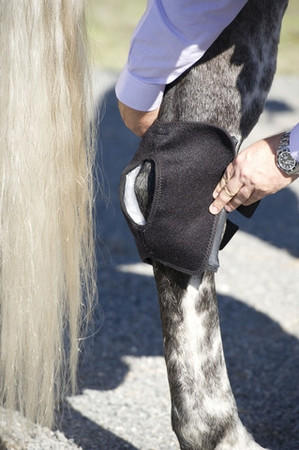 Ice Horse Hock Wraps- Equine Cold Therapy